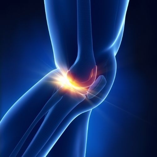 menüsküs1 menüsküs1